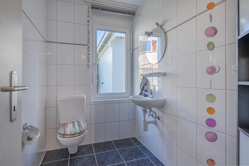 Einfamilienhaus mit Einliegerwohnung in Büren an der Aare (8)