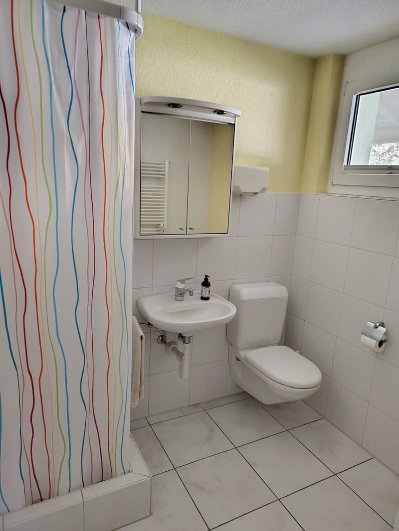 Geräumiges 7.5-Zimmer-Doppeleinfamilienhaus in Urtenen-Schönbühl (13)