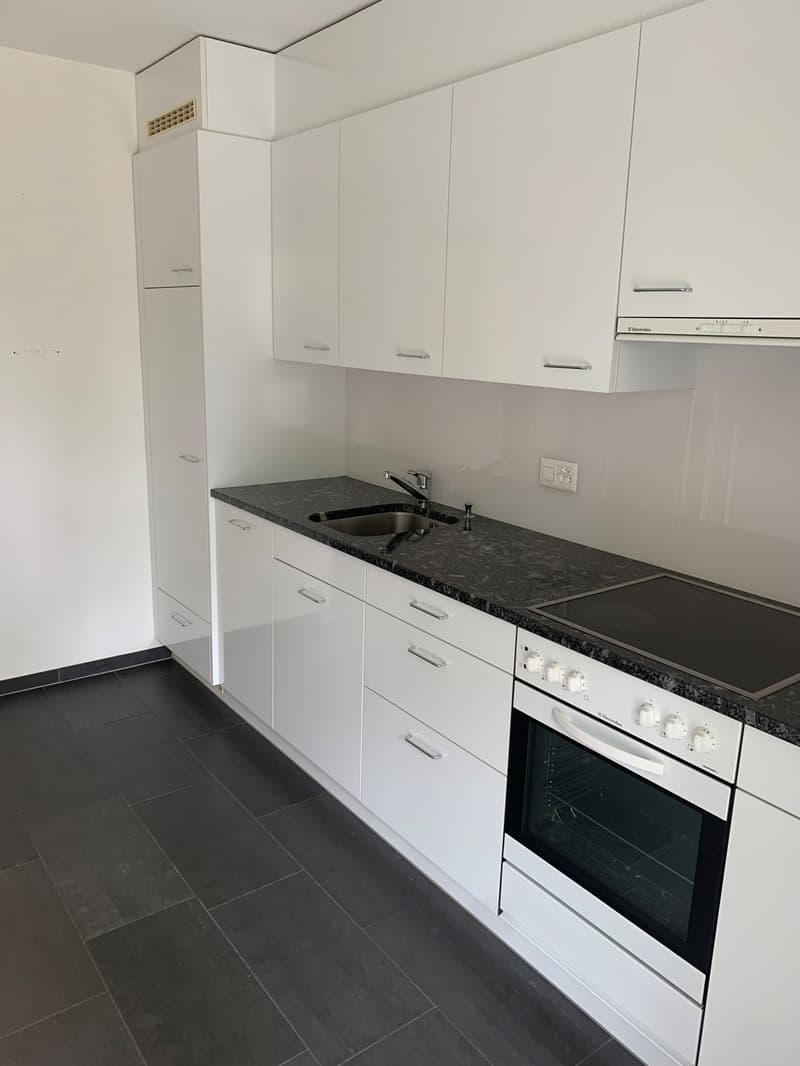 Sonnige 2-Zimmer-Wohnung mit grossem Balkon (3)
