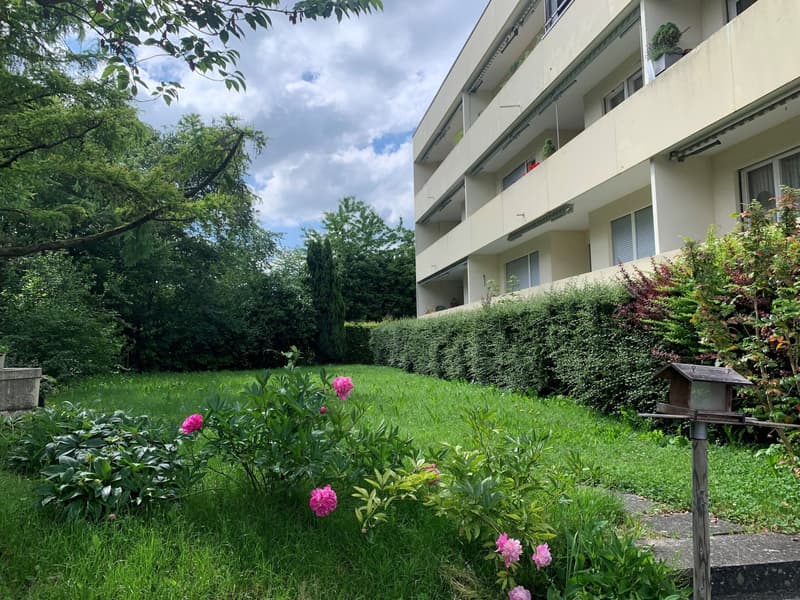 Sonnige 2-Zimmer-Wohnung mit grossem Balkon (1)