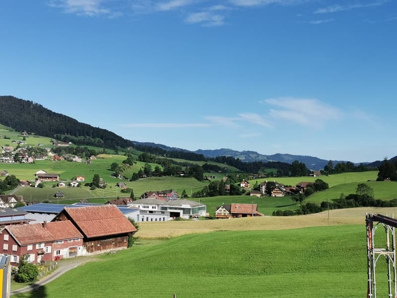 sehr attraktive und grosse, helle 3,5-Zimmerwohnung D02 (8)