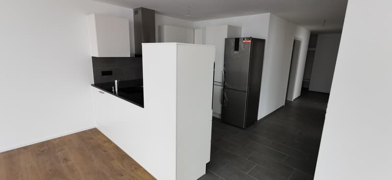 sehr attraktive und grosse, helle 3,5-Zimmerwohnung D02 (3)