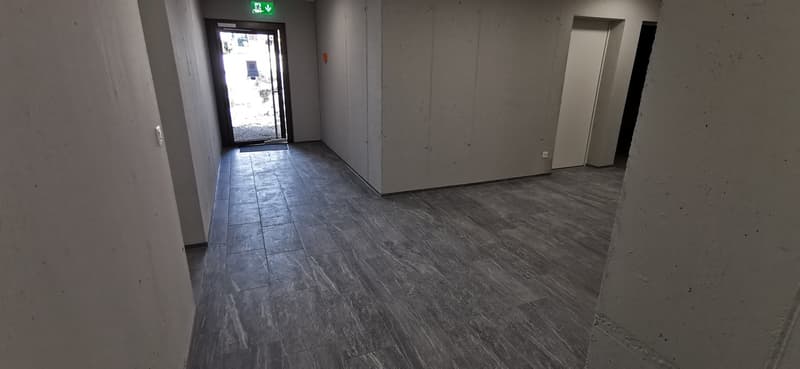 Moderne, schöne, grosse 3,5-Zimmerwohnung Parterre (BS.2) (12)