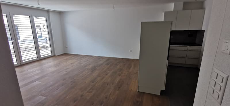 Moderne, schöne, grosse 3,5-Zimmerwohnung Parterre (BS.2) (6)