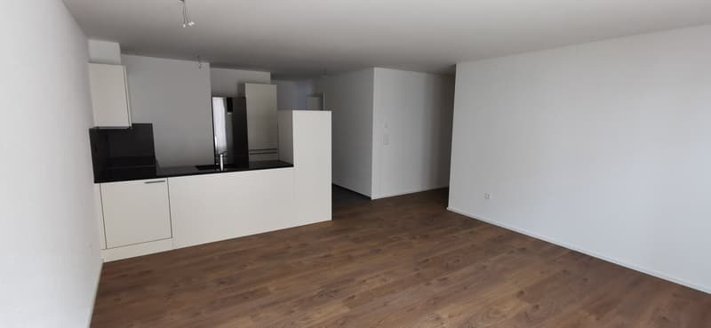 Moderne, schöne, grosse 3,5-Zimmerwohnung Parterre (BS.2) (5)