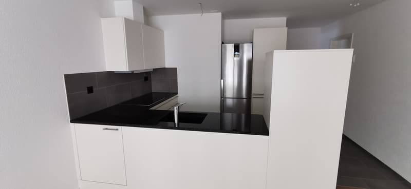 Moderne, schöne, grosse 3,5-Zimmerwohnung Parterre (BS.2) (4)