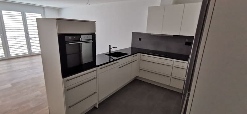 Moderne, schöne, grosse 3,5-Zimmerwohnung Parterre (BS.2) (2)