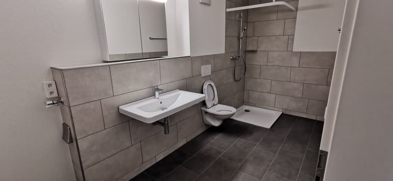 Moderne, schöne, grosse 3,5-Zimmerwohnung Parterre (BS.2) (7)
