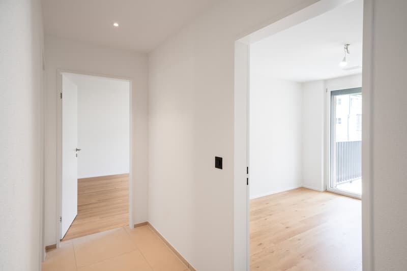 The image shows a spacious and bright apartment interior. The walls are painted in a neutral, light color, and the floors are made of light-colored hardwood. There are multiple doorways leading to different rooms, and a large window that provides natural