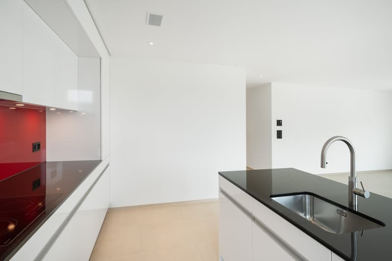 Modern kitchen with white cabinets, black countertops, stainless steel sink, and a dishwasher