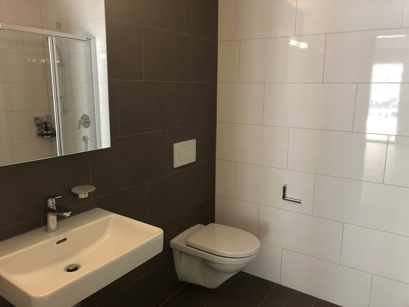 The image shows a modern bathroom with a white sink, a toilet, and a glass shower enclosure. The walls are tiled with a combination of light and dark tiles, creating a sleek and contemporary look. The bathroom appears to be well-lit and well-designed.