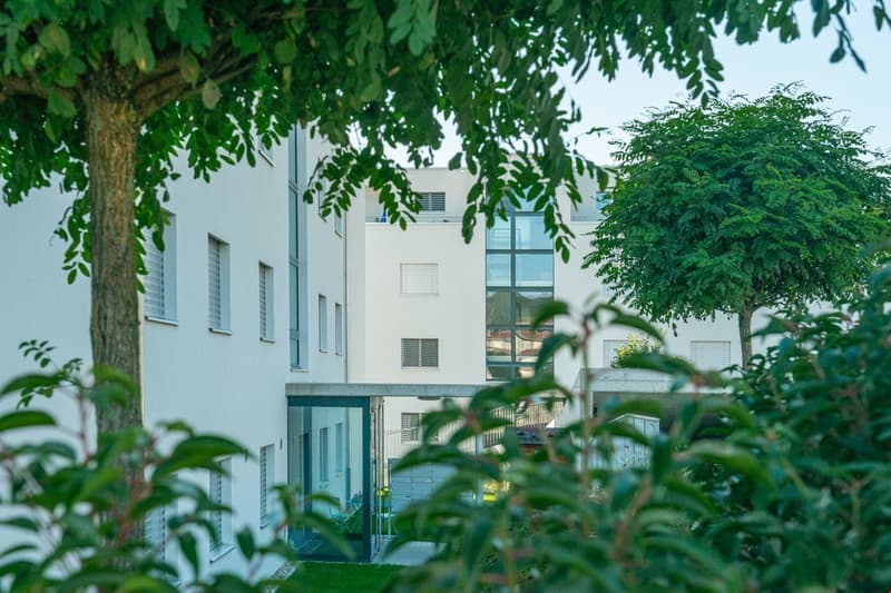 Multi-story apartment building with white exterior, large windows, and surrounded by lush greenery including trees and shrubs.