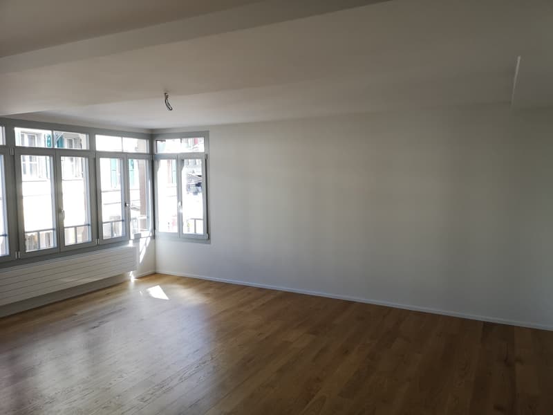 sanierte 1.5 Zimmer Wohnung (2)