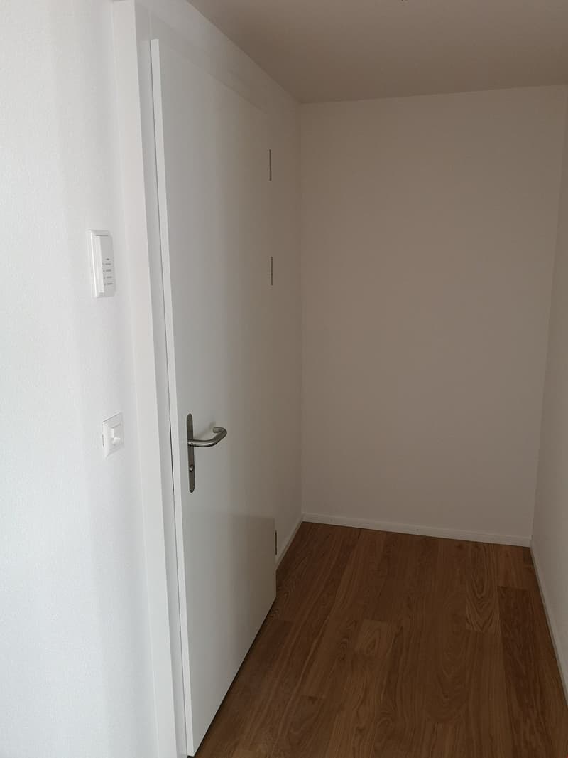 sanierte 1.5 Zimmer Wohnung (3)