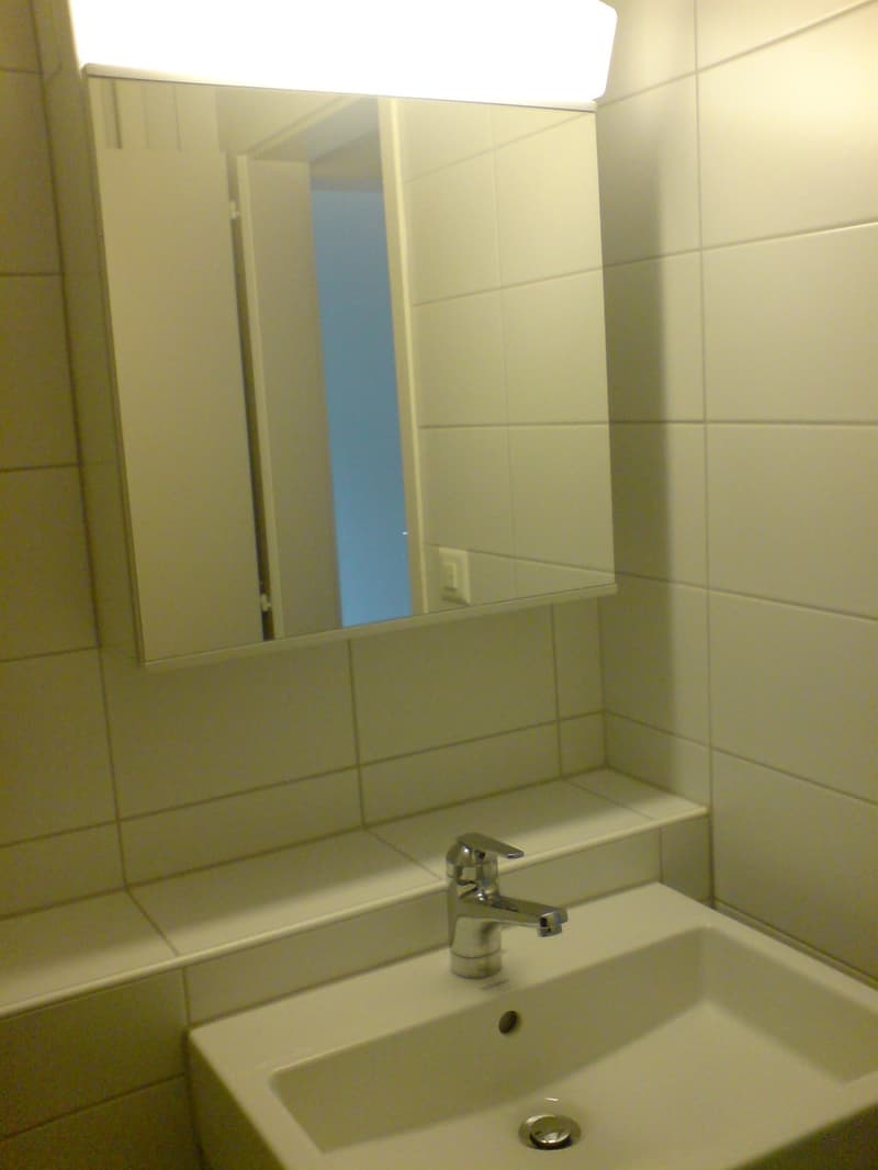 3-Zimmer-Wohnung in der Länggasse (9)