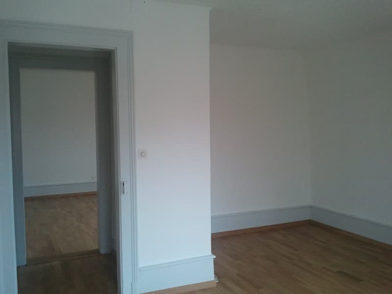 Grosse 3-Zimmerwohnung ***Altbau*** (5)