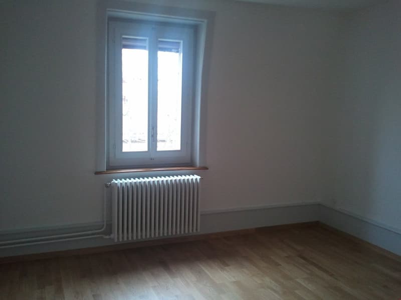 Grosse 3-Zimmerwohnung ***Altbau*** (7)