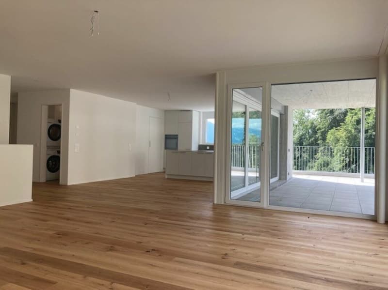 Grosszügige, helle 4.5 Zimmer-Eigentumswohnung Maisonette mit Mietverhältnis (10)