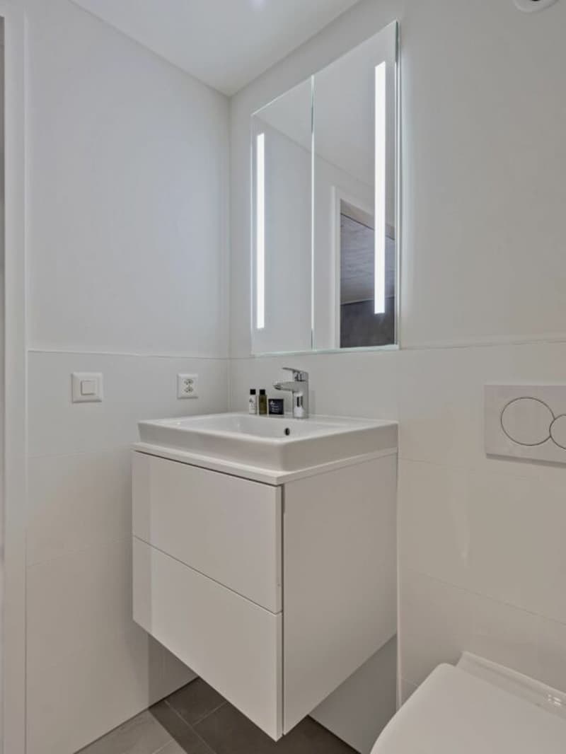 Appartement BASIC meublé - 25 m2 (14)