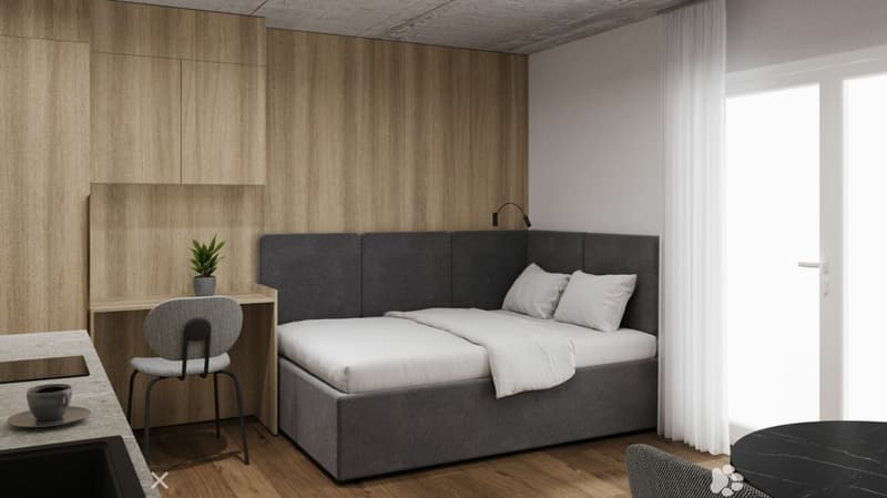 Vollmöbliertes BASIC Apartment - 25 m2 (2)