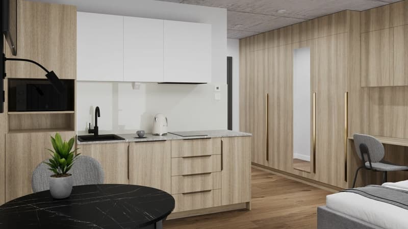 Fully furnished BASIC apartment - 25 m2 (9)