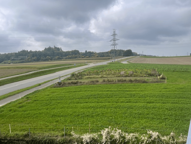 Ampio spazio per uffici con una vista meravigliosa 773 m2 (8)