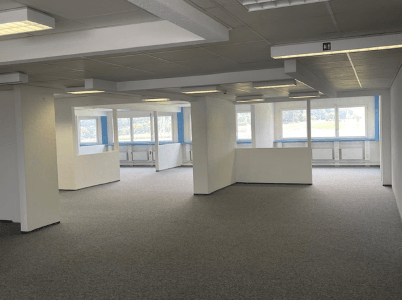 Attraktive Bürofläche mit herrlicher Alpensicht 665 m2 (2)