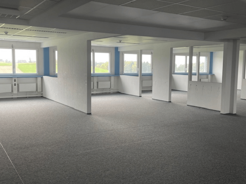 Attraktive Bürofläche mit herrlicher Alpensicht 665 m2 (3)