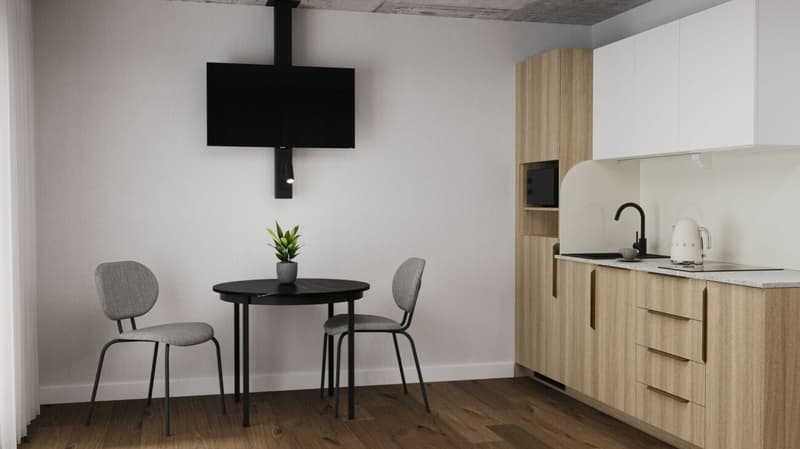 Furnished BASIC Apartment - 25 m2 (4)