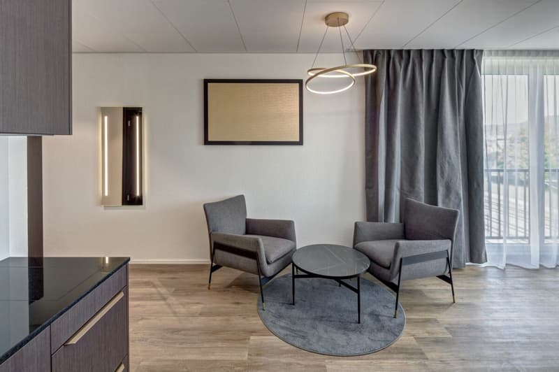 Appartement SUPERIOR entièrement meublé - 45 m2 (4)