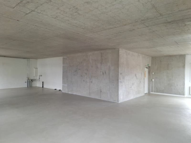 Lichtdurchflutete Gewerbefläche 126m2 (2)