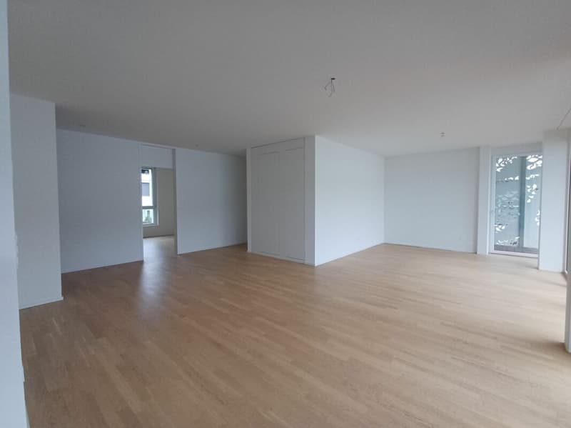 Attraktive 4.5 Zimmerwohnung in Seenähe! (4)