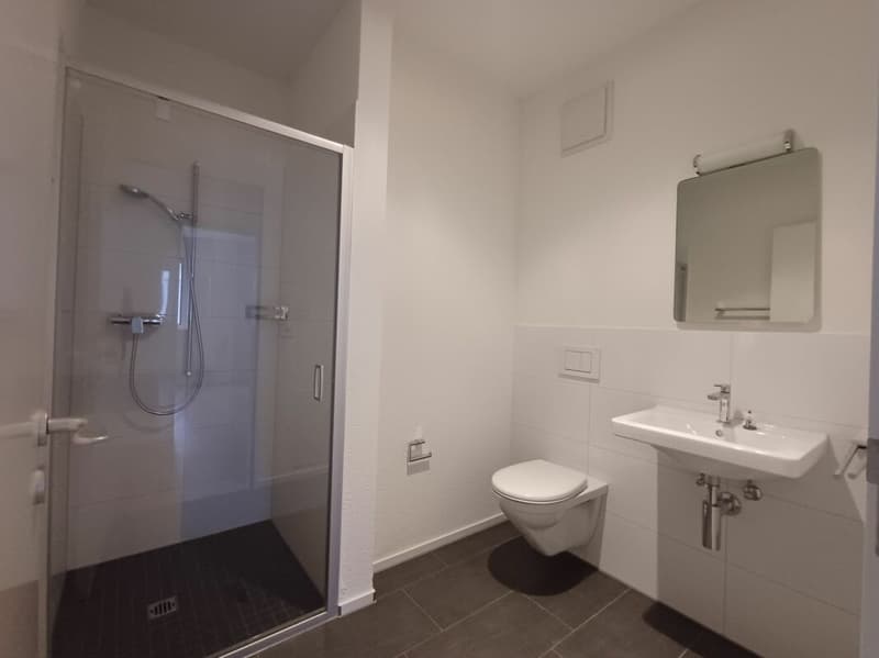 Attraktive 4.5 Zimmerwohnung in Seenähe! (6)
