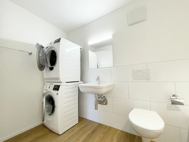Helle, ruhige 4.5 Zi.-Wohnung mit mit grosszügigem Sitzplatz (8)