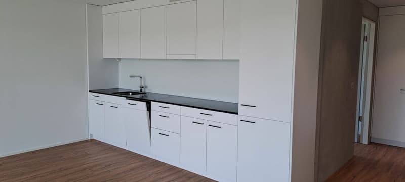 Helle 3.5 Zimmerwohnung mit grosszügigem Balkon (2)
