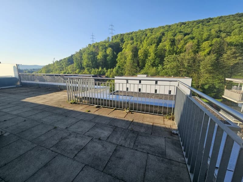 Attraktive 3.5 Zimmer-Attikawohnung mit grosser Terrasse 41m2 (1)