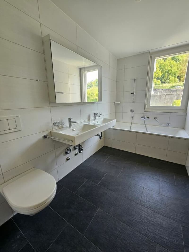 Attraktive 3.5 Zimmer-Attikawohnung mit grosser Terrasse 41m2 (4)