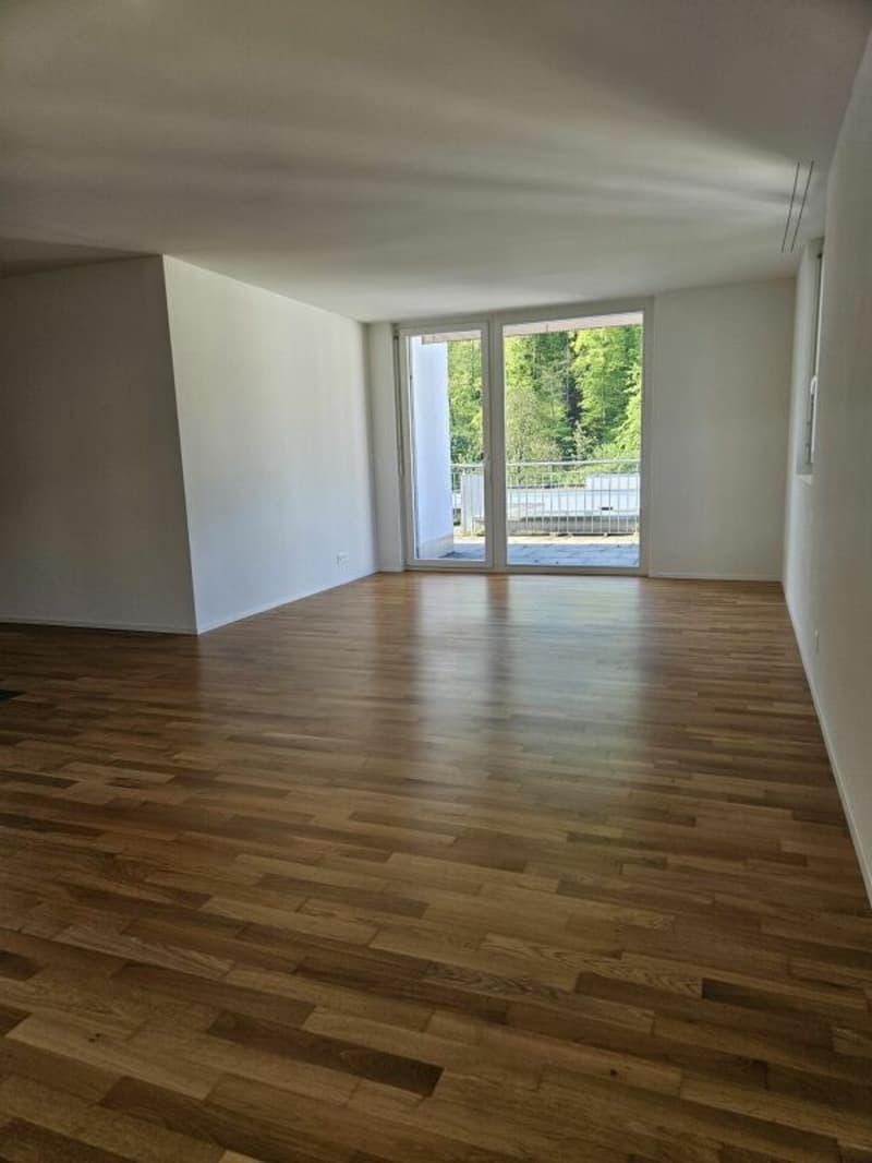 Attraktive 3.5 Zimmer-Attikawohnung mit grosser Terrasse 41m2 (2)