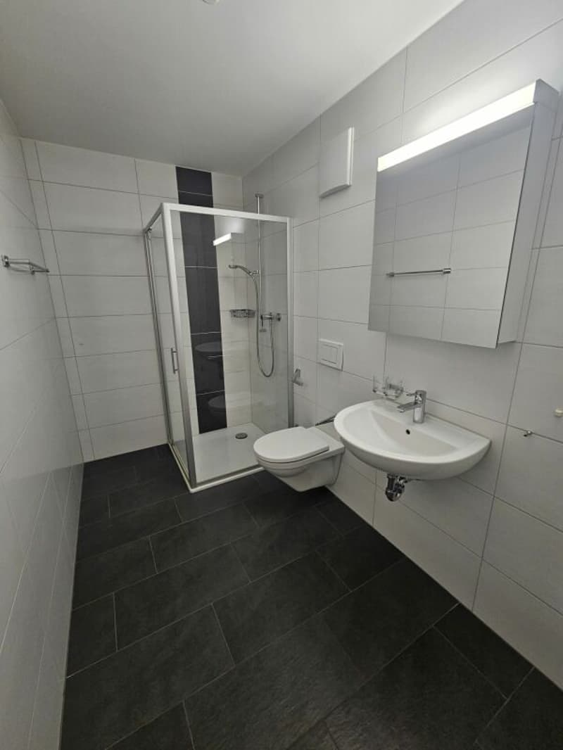 Attraktive 3.5 Zimmer-Attikawohnung mit grosser Terrasse 41m2 (5)