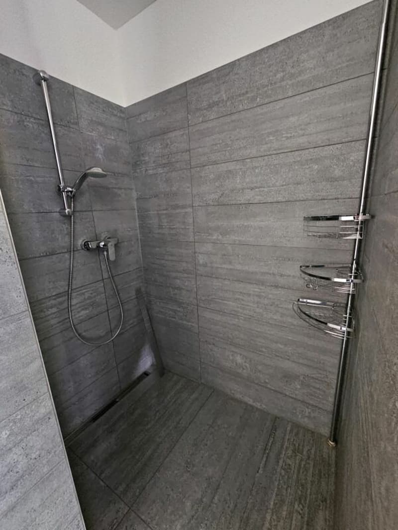 Helle 3.5 Zimmer-Wohnung mit grossem Balkon (5)