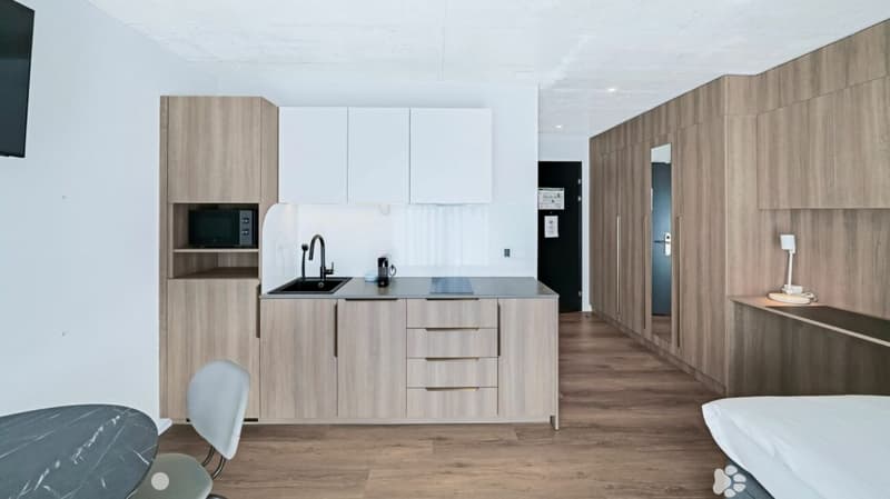 Vollmöbliertes BASIC Apartment - 25 m2 (3)