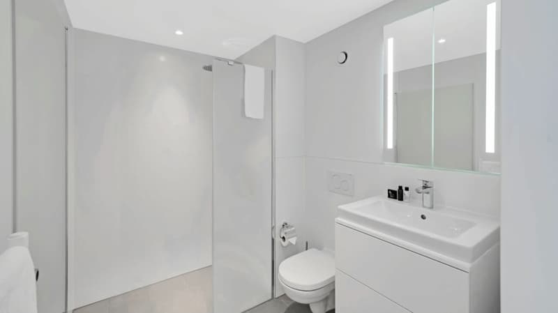 Vollmöbliertes BASIC Apartment - 25 m2 (10)