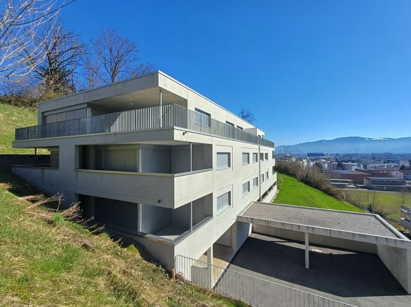 Exklusive 3.5 Zimmer-Eigentumswohnung zu vermieten (1)