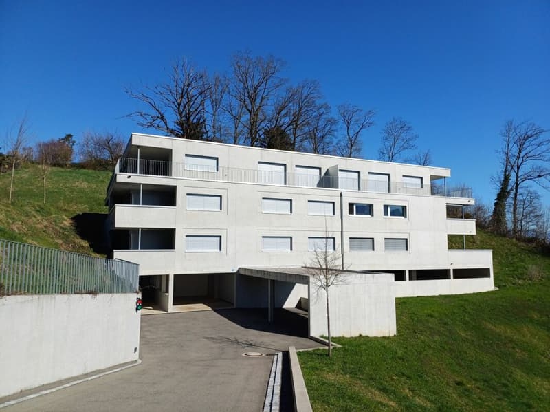 Exklusive 3.5 Zimmer-Eigentumswohnung zu vermieten (11)