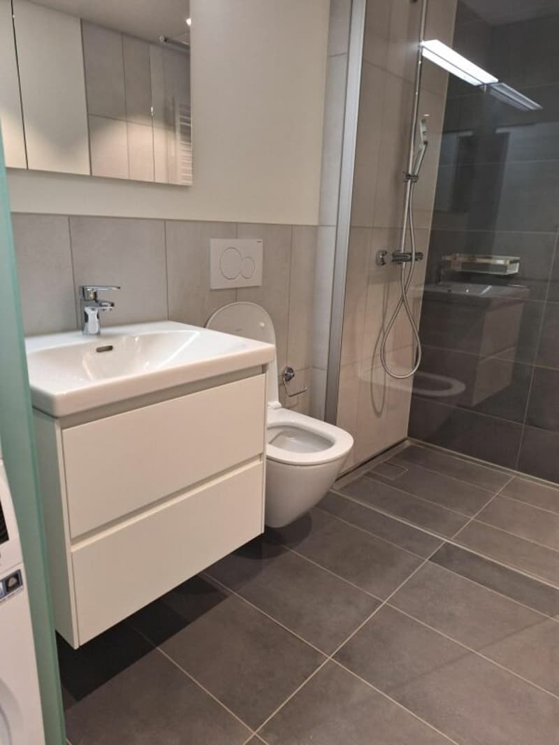 Attraktive 2.5-Zimmerwohnung mit komfortabler Loggia (7)