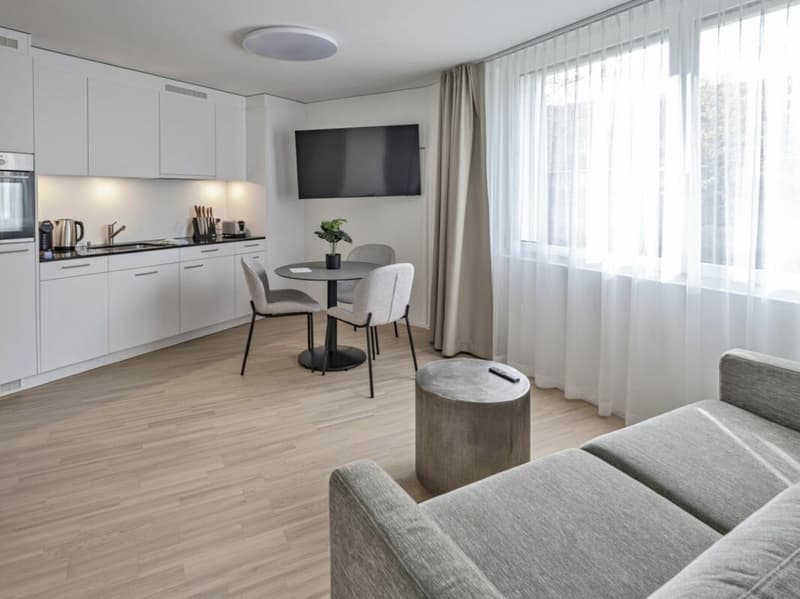 Vollmöbliertes SUPERIOR Apartment - 52 m2 Kopie (1)