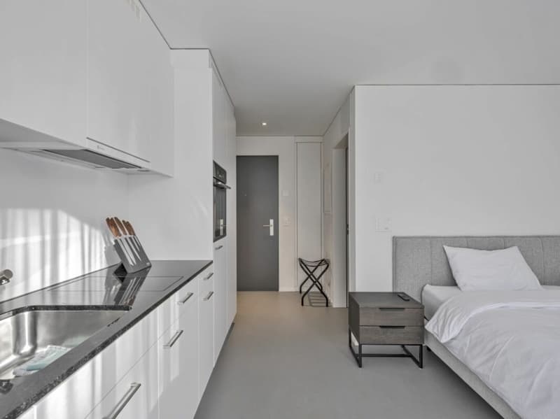 Möbliertes BASIC Apartment - 25 m2 (1)