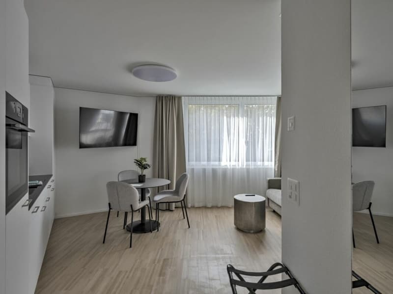 Möbliertes SUPERIOR Apartment - 52 m2 (5)