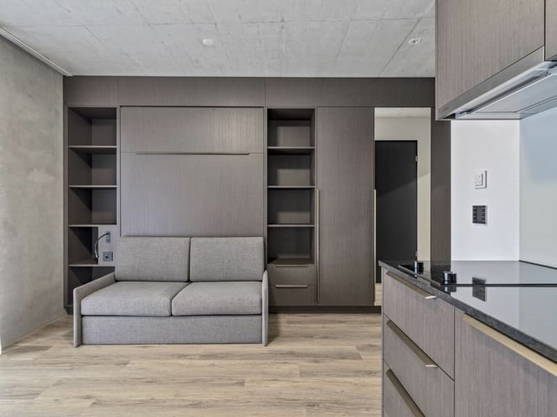 Möbliertes BASIC Apartment - 25 m2 (1)