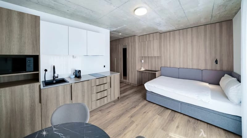 Vollmöbliertes BASIC Apartment - 25 m2 (4)